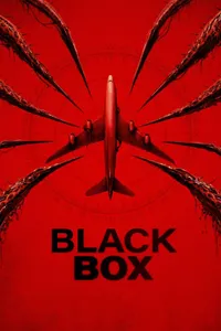 Black Box Flight 298